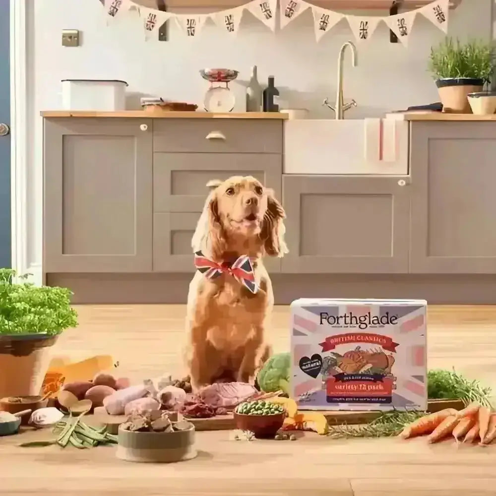 Forthglade Grain Free Variety Pack with Lamb Shepherd’s Pie and Beef Family Lunch