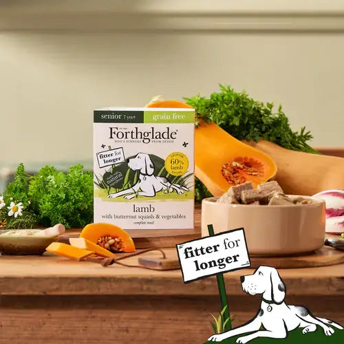 Forthglade Complete Adult Grain Free - Lamb - Senior - Natural Wet Dog Food