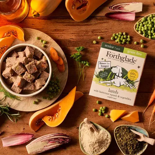 Forthglade Complete Adult Grain Free - Lamb - Senior - Natural Wet Dog Food
