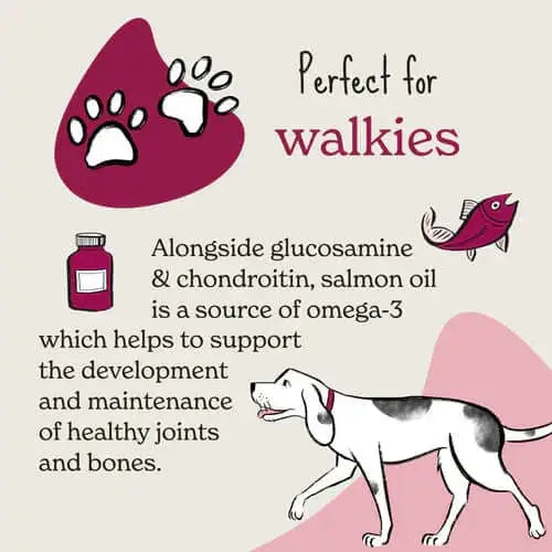 Forthglade Functional Soft Bites Joints & Bone Natural Dog Treats
