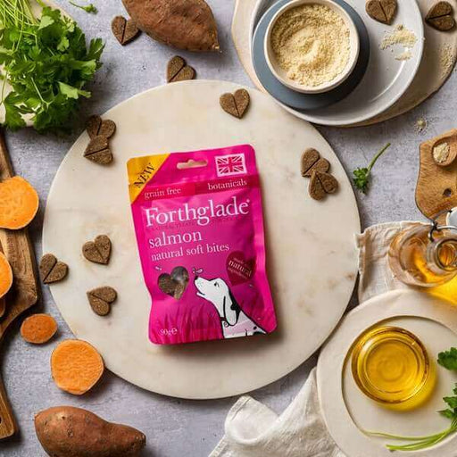 Forthglade Natural Soft Bite Treats with Salmon 90g - Natural Dog Treats