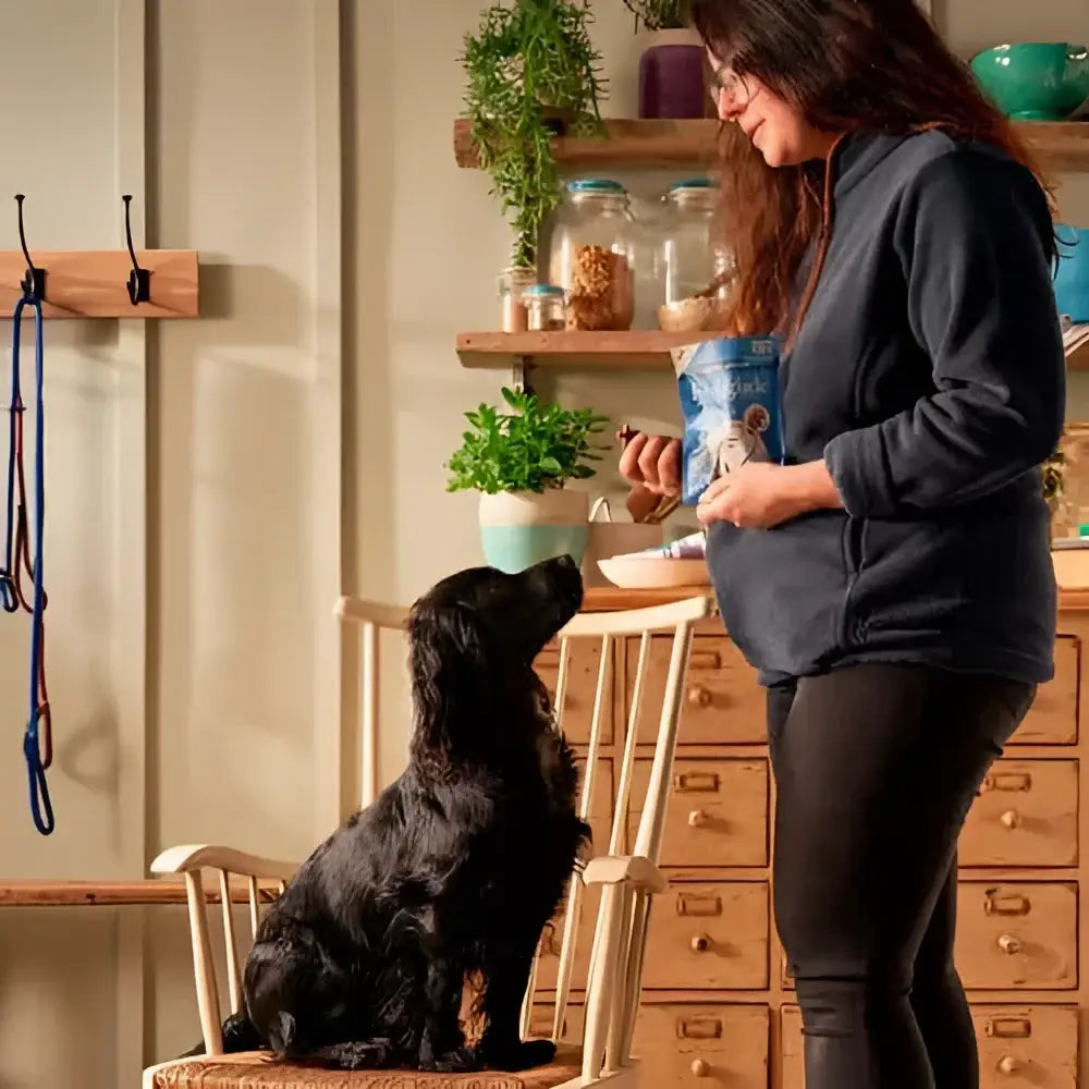 Black leather dog collar with silver hardware and bone tag for training treats from Forthglade Rewards