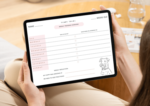 FREE TEDDY Puppy Training Tracker – Printable Weekly Planner
