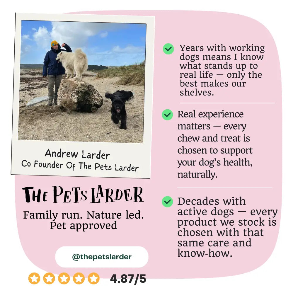 White fluffy dog with black spots on beach near people, puppy training tracker