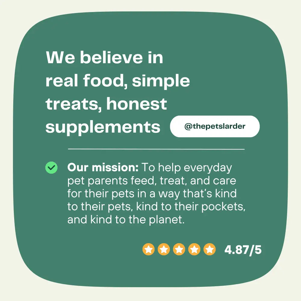 Green Teddy Talks pet food bag with star rating for puppy parents diary