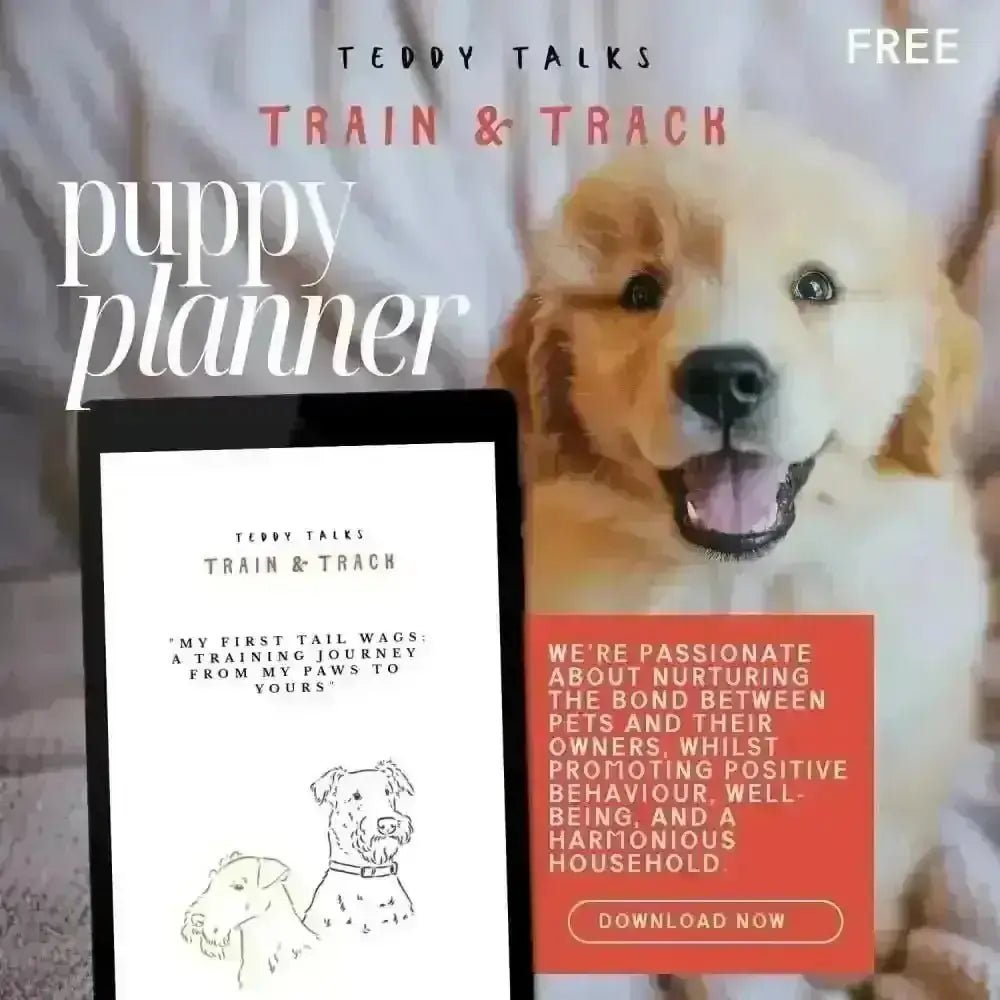 FREE Teddy Talks Puppy Training Diary