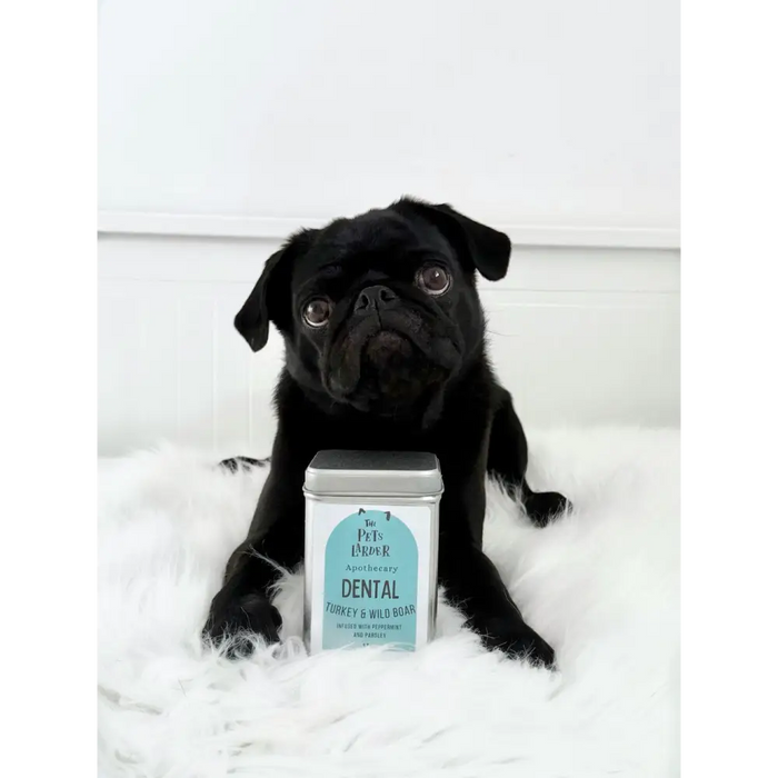Fresh Turkey & Wild Boar Dental Dog Treats - Natural Treats For Dogs