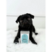 Fresh Turkey & Wild Boar Dental Dog Treats - Natural Treats For Dogs