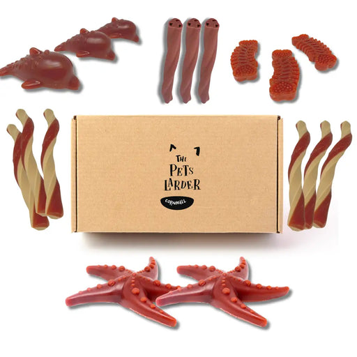 Fruity Vegetable Chew Variety Box for Dogs