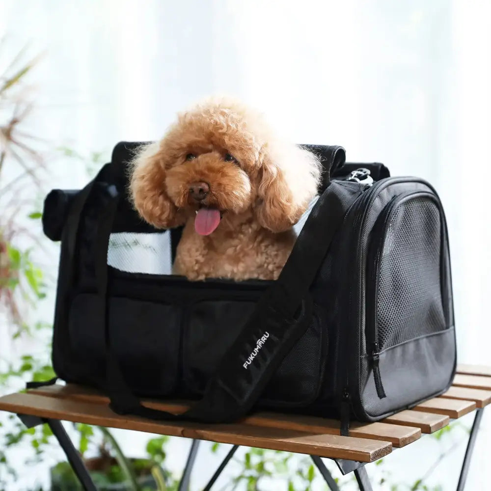 FUKUMARU Cat Carrier Black - Pet Carrier