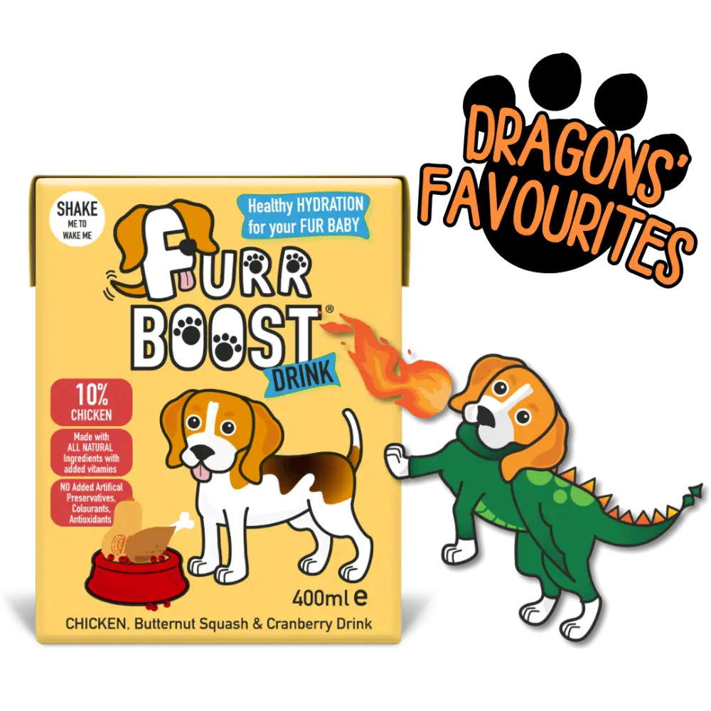 Furr Boost Dog Drink Chicken, Butternut Squash and Cranberry Carton 400ml