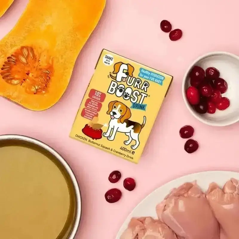 Furr Boost Dog Drink with chicken, butternut squash and cranberry in 400ml carton