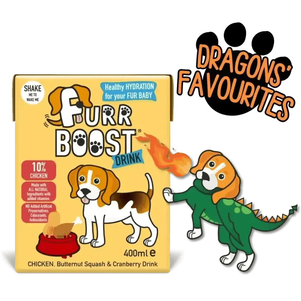Furr Boost Dog Drink with chicken, butternut squash and cranberry in 400ml carton