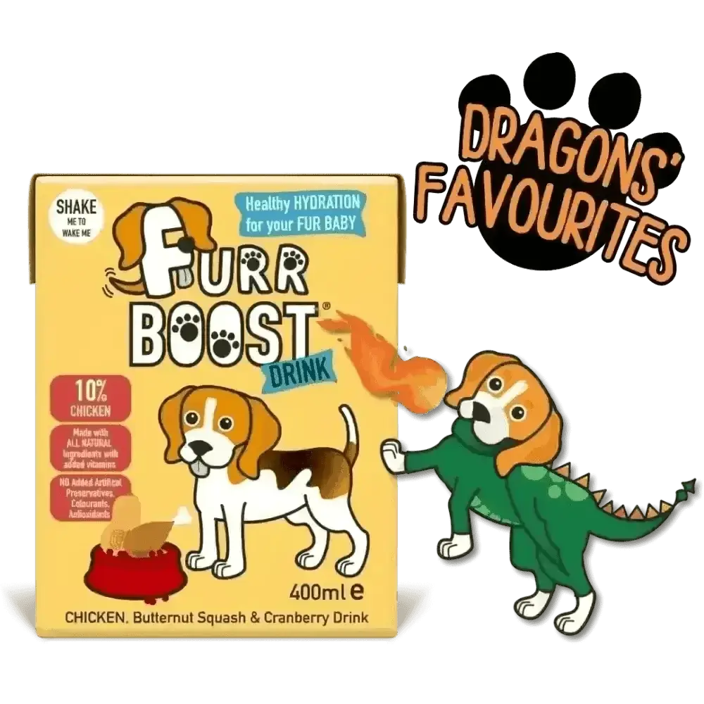 Furr Boost Dog Drink with chicken, butternut squash and cranberry in 400ml carton