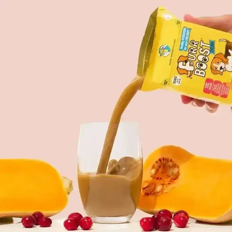 Furr Boost Dog Drink with Butternut Squash in Vibrant Pouch