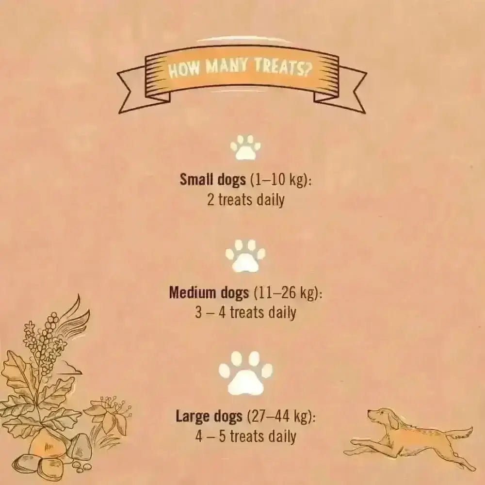 Gizzls natural dog treats chart guide for joint pain relief with paw prints and autumn leaves design