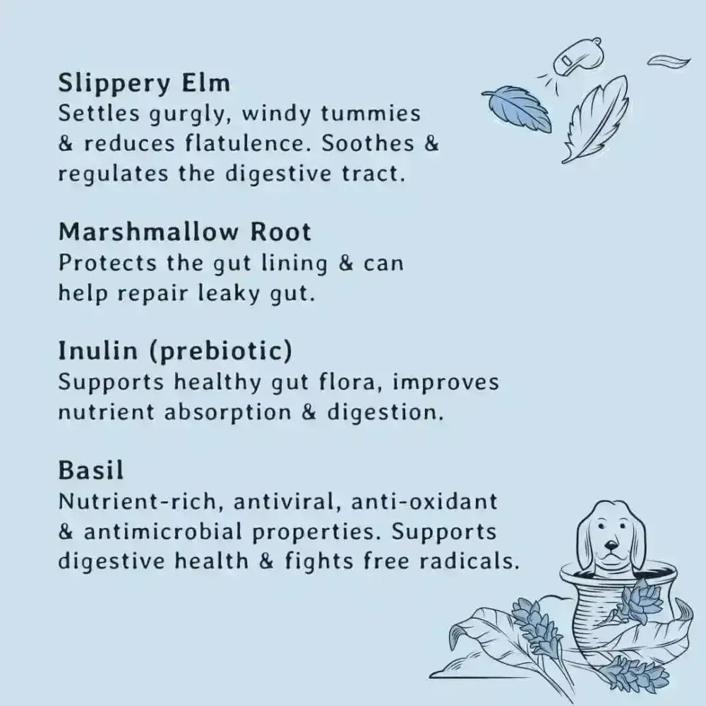 Gizzls natural dog treats: illustration of dog sipping slipper elm tea for healthy gut support
