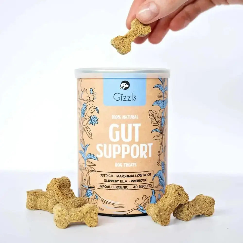 Gizzls natural dog treats for healthy gut support, bone-shaped