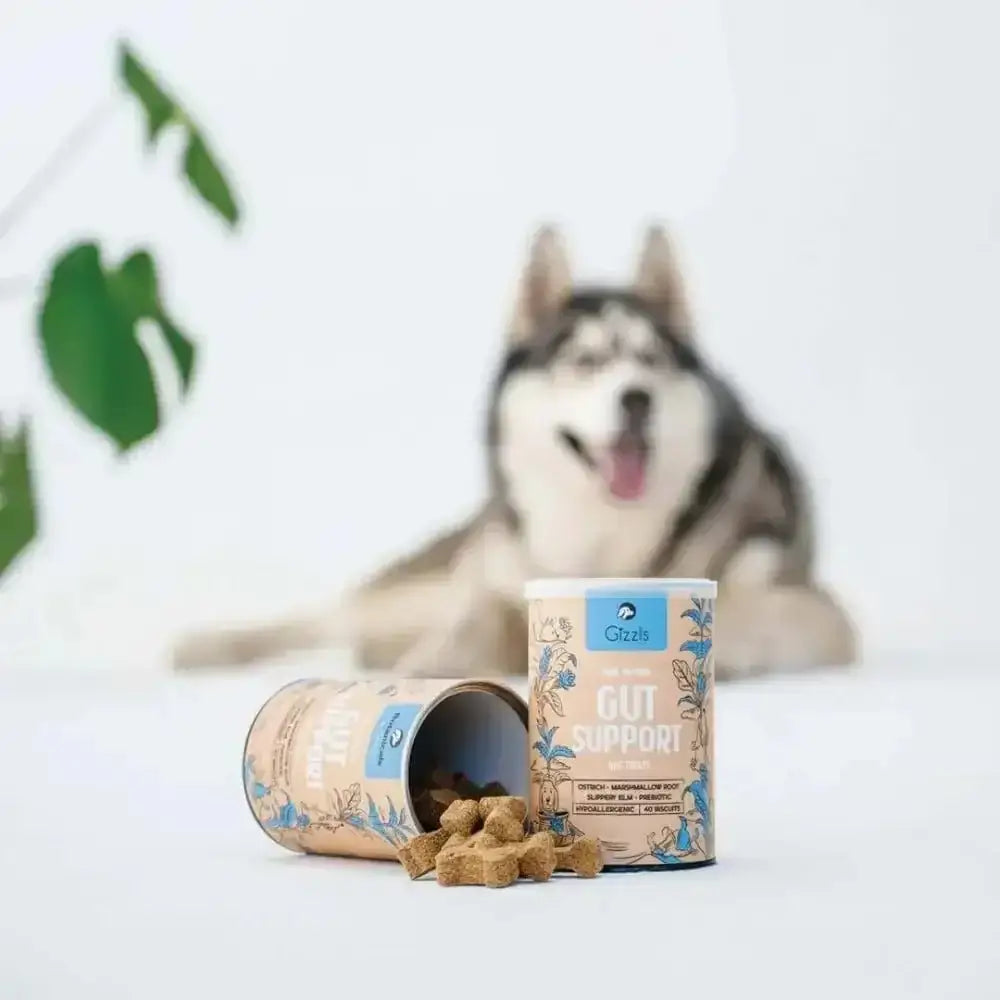 Gizzls natural dog treats for healthy gut in floral container