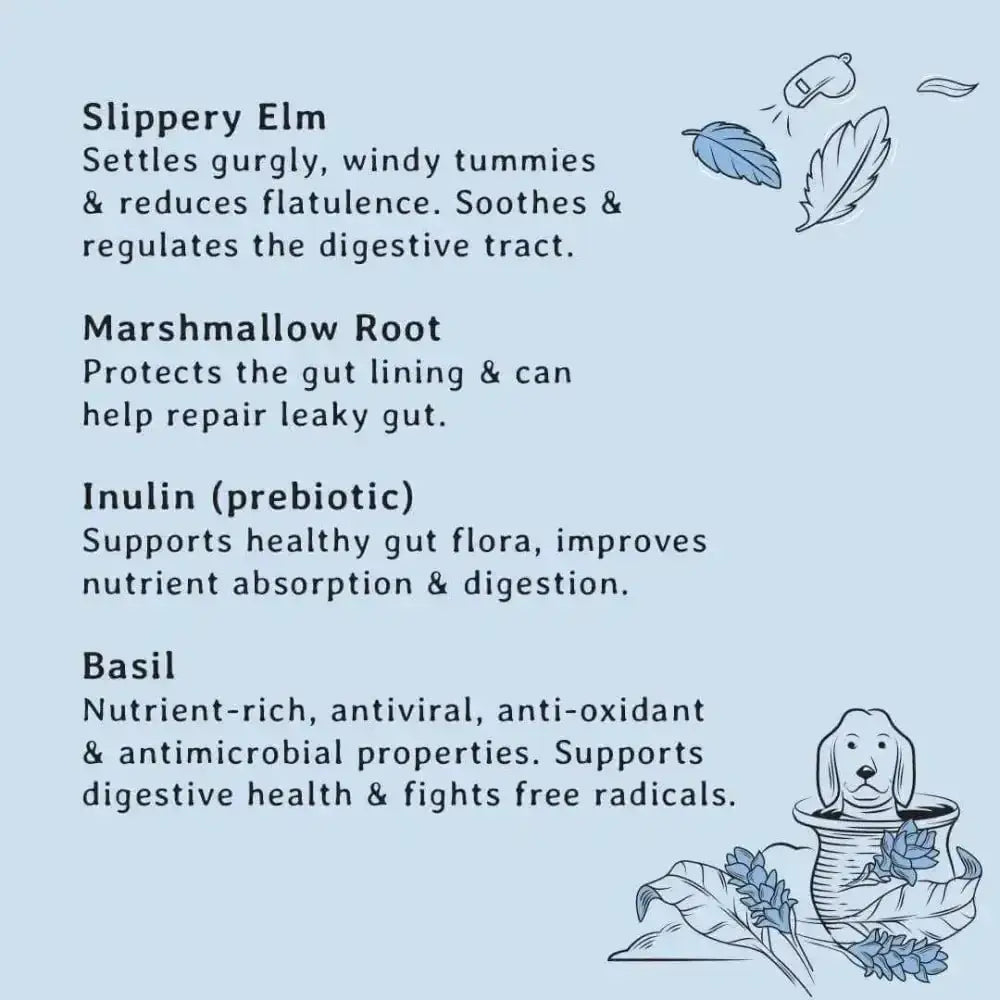 Gizzls natural dog treats: illustration of dog sipping slipper elm tea for healthy gut support
