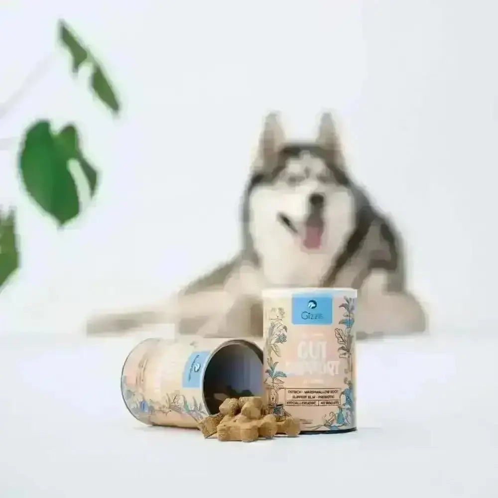 Gizzls natural dog treats for healthy gut in floral container