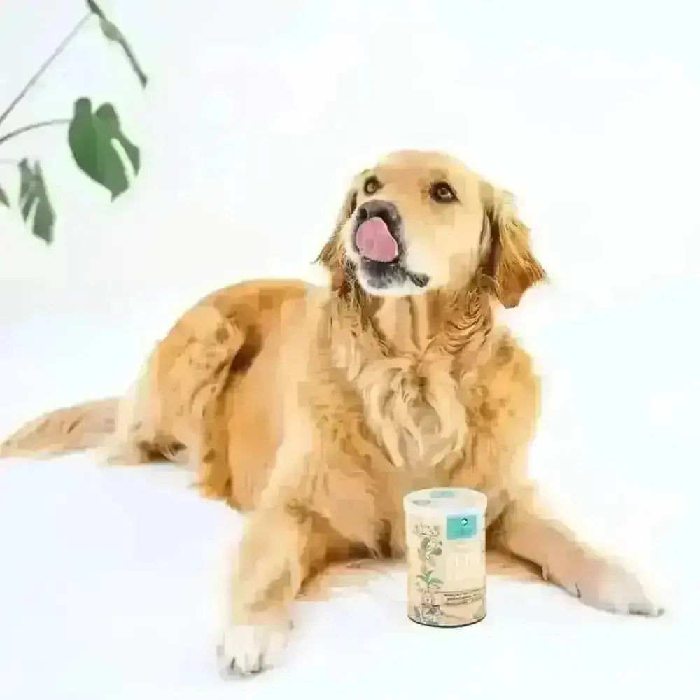 Gizzls 100% Natural Dog Treats Itchy & Scratchy - for Dogs | Pet Shop