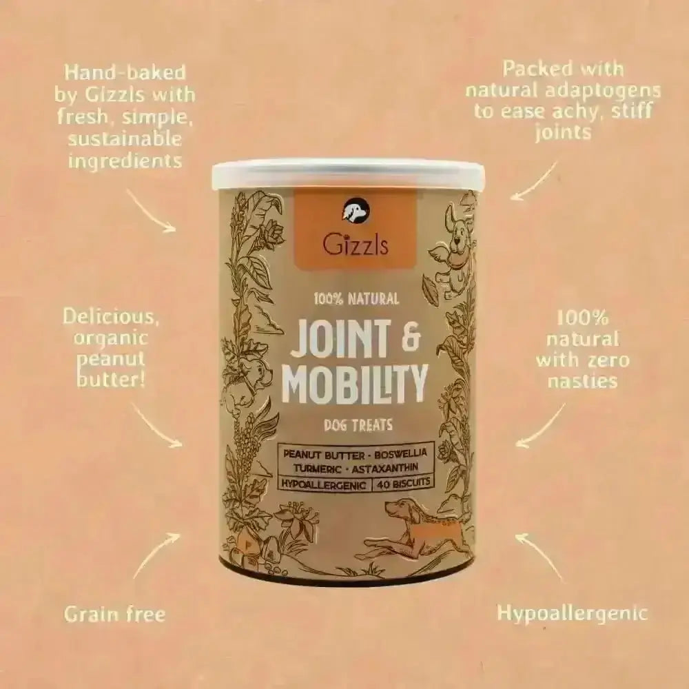 Gizzls natural dog treats for joint pain relief in peanut butter flavor