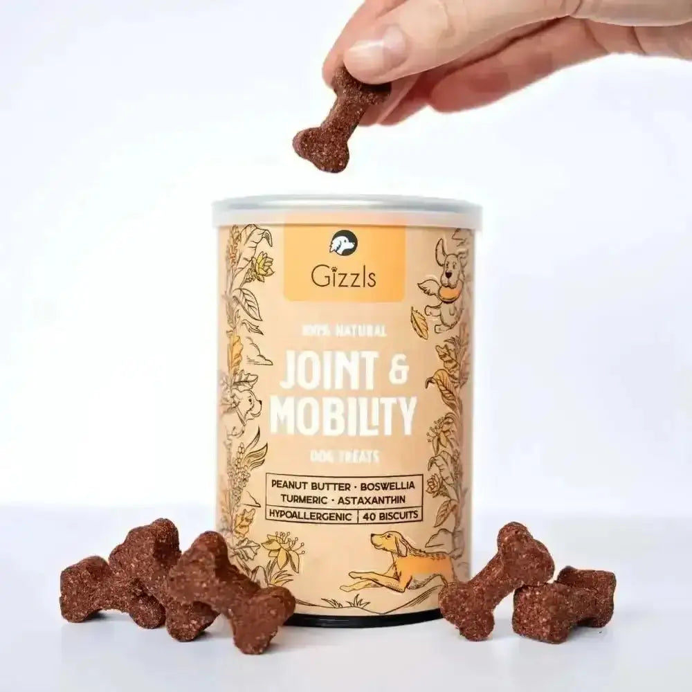 Gizzls natural dog treats: peanut butter bone biscuits for joint pain relief