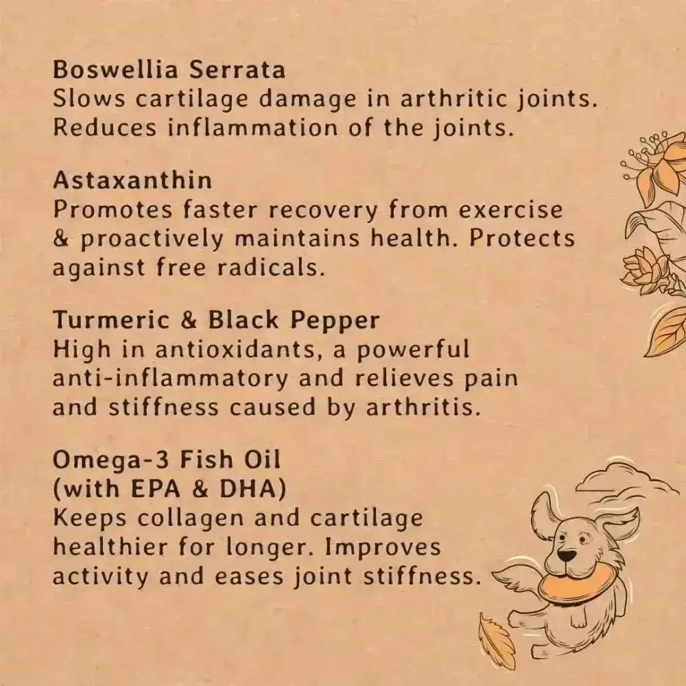 Gizzls natural dog treats for joint pain relief with brown floral chew toy