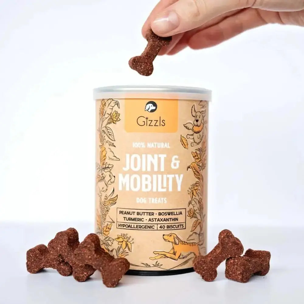 Gizzls natural dog treats: peanut butter bone biscuits for joint pain relief