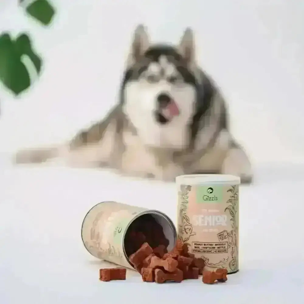 Gizzls natural senior dog treats in green tin with organic peanut butter cubes
