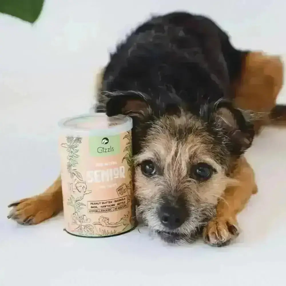 Gizzls natural senior dog treats in pink green leafy tin with organic peanut butter flavor