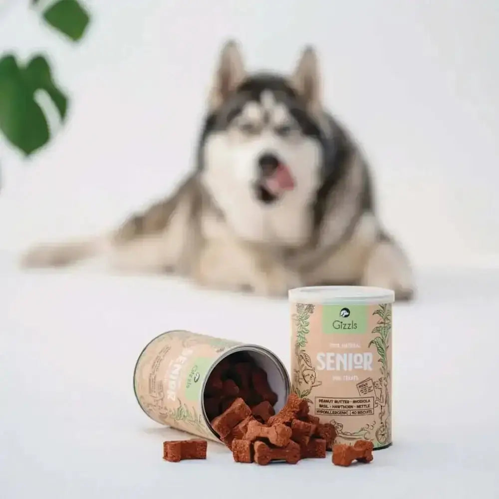 Gizzls natural senior dog treats in green tin with organic peanut butter cubes