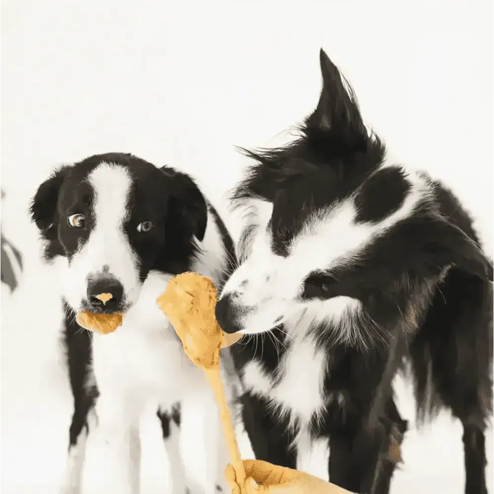 Gizzls Brain Booster golden chicken treat for small dogs, 100g