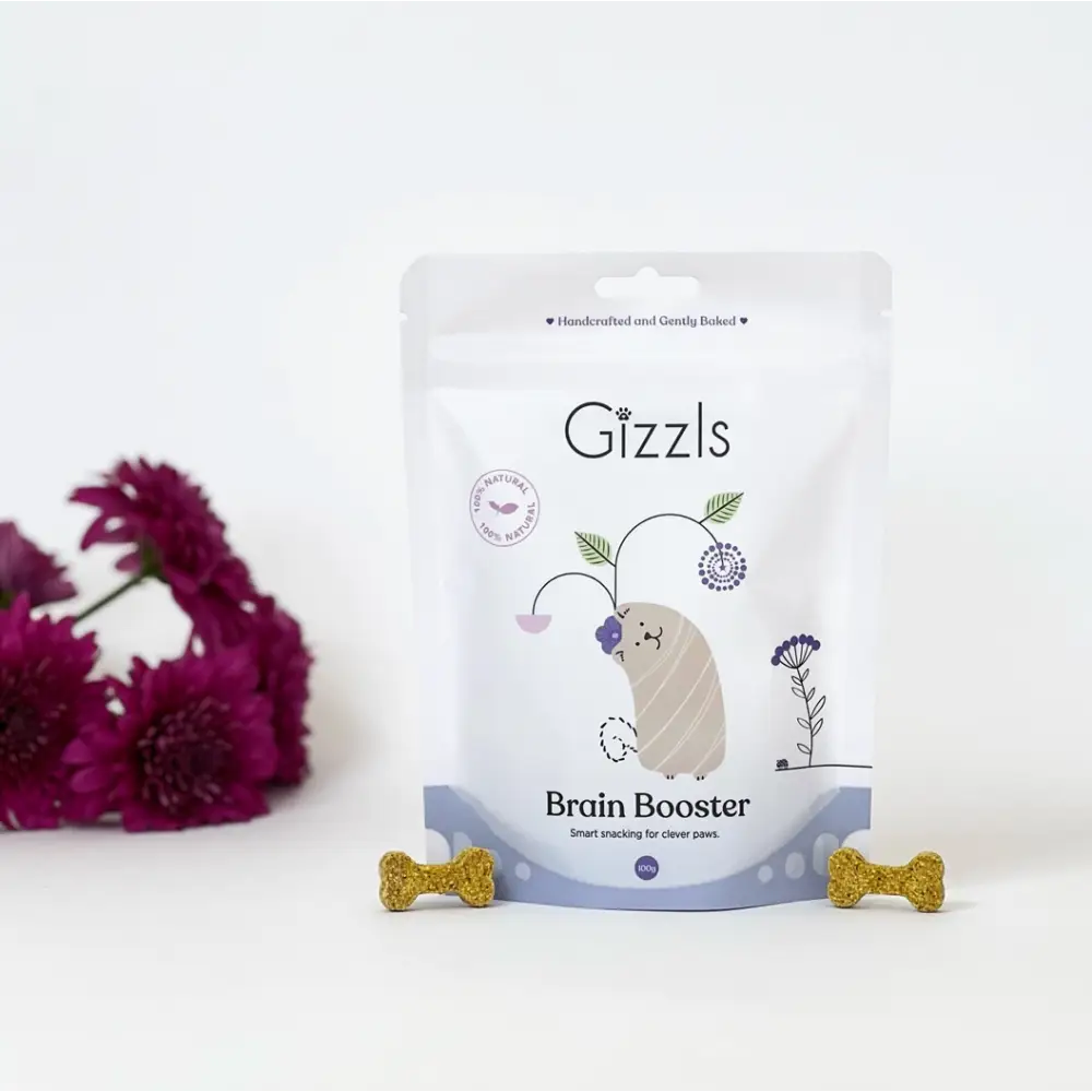 Gizzls Brain Booster packaging with decorative elements on a white background