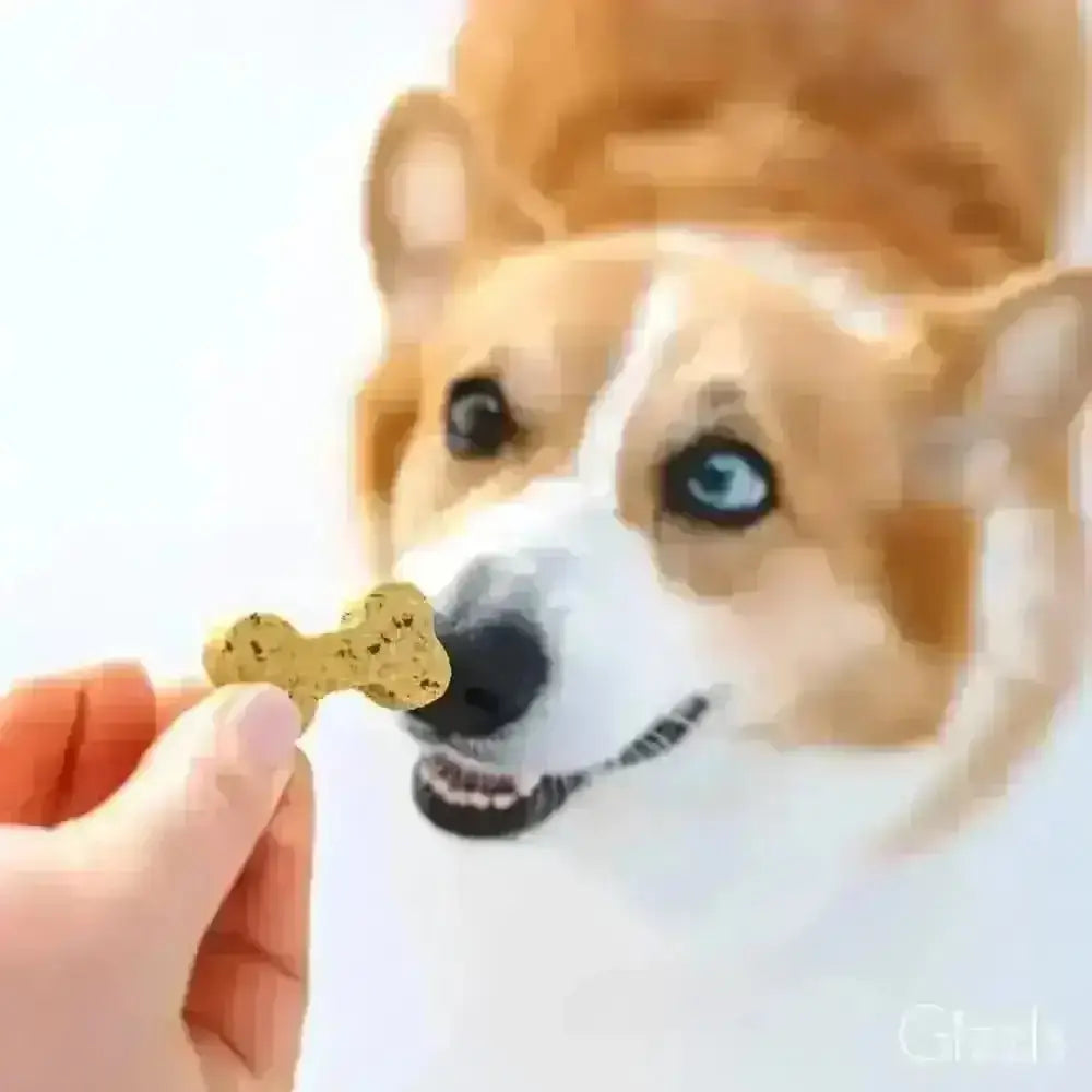 Golden-brown bone-shaped Gizzls Minty Fresh dog treat with organic peanut butter, held in fingers