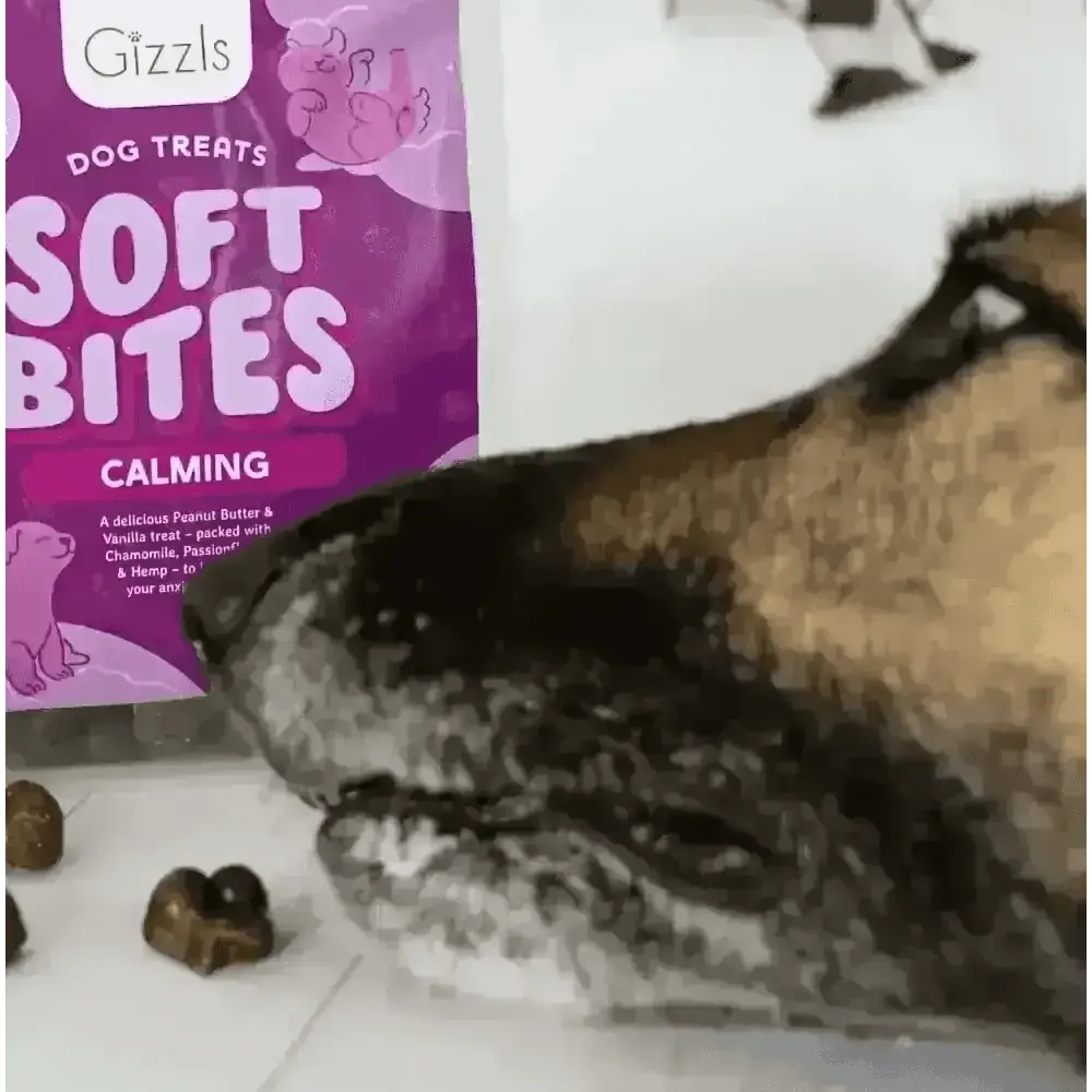Gizzls Soft Bites calming dog treats bag with pig design for separation stress