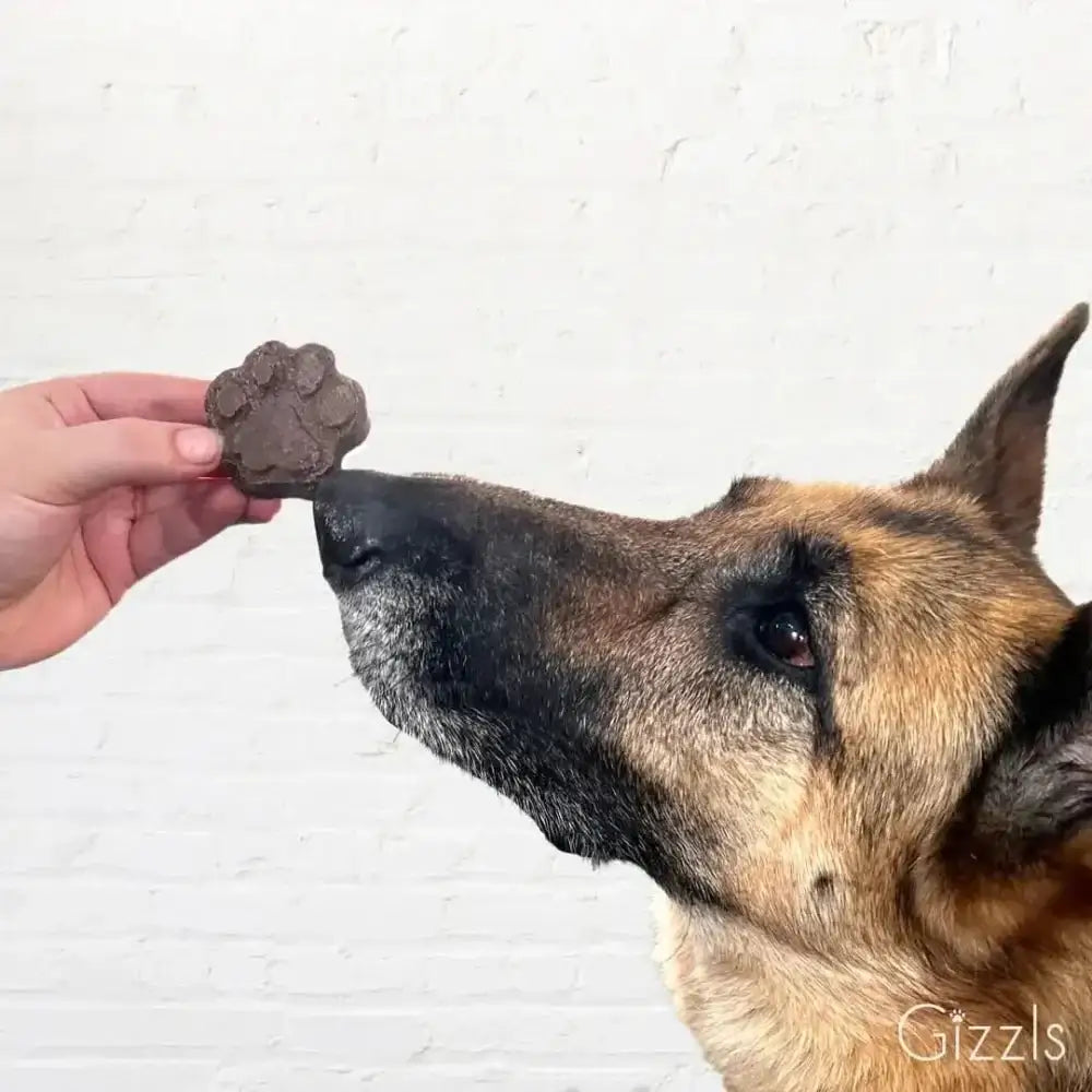 Gizzls Zoomie Bites chocolate paw print dog treat with peanut butter flavor