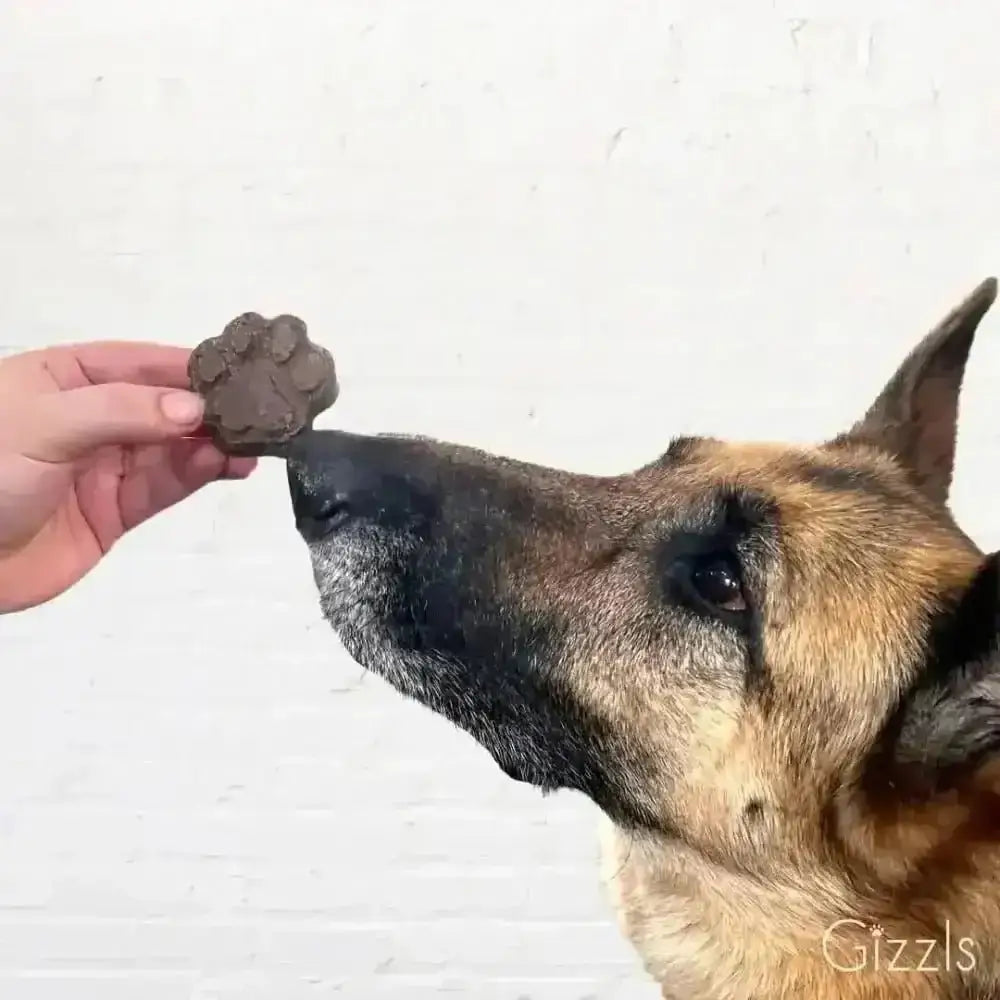 Gizzls Zoomie Bites chocolate paw print dog treat with peanut butter flavor
