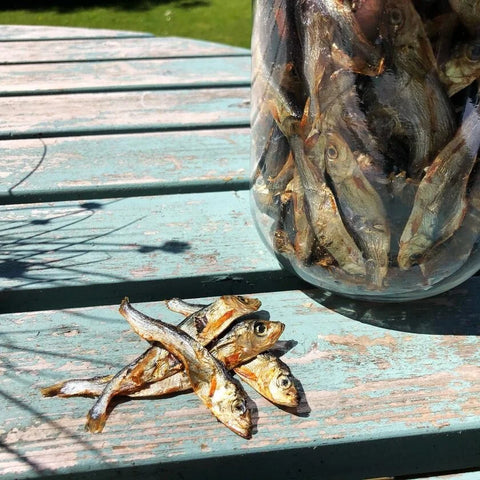 Fish Treats for Dogs