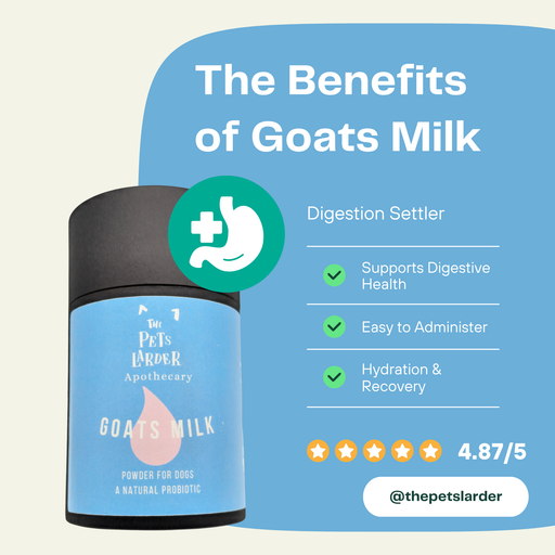 Goats Milk Powder for Dogs A Natural Probiotic - Dog Supplements