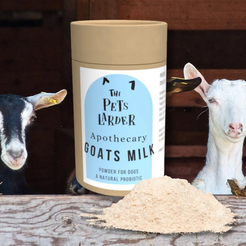 Goats Milk for Dogs A Natural Probiotic - Dog Supplements