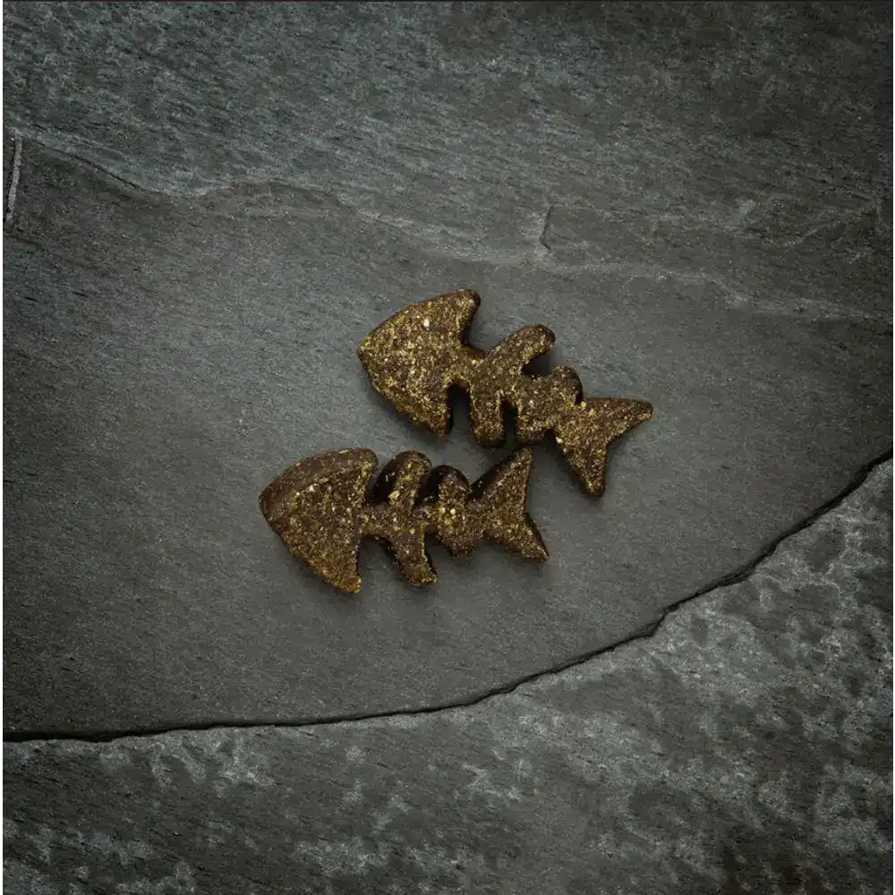 Canagan Salmon Softies for Dogs Natural Dog Treats