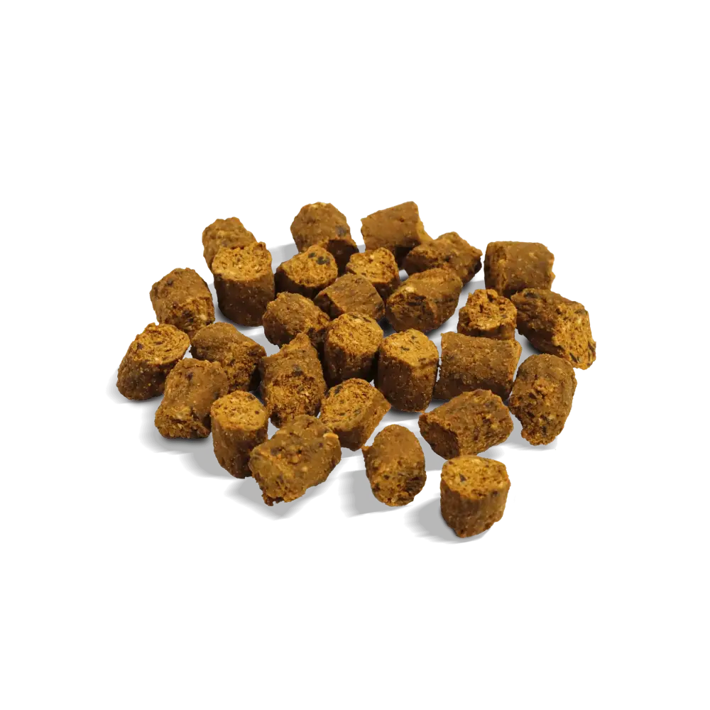 Golden Paste for Dogs - Natural joint supplement for dogs