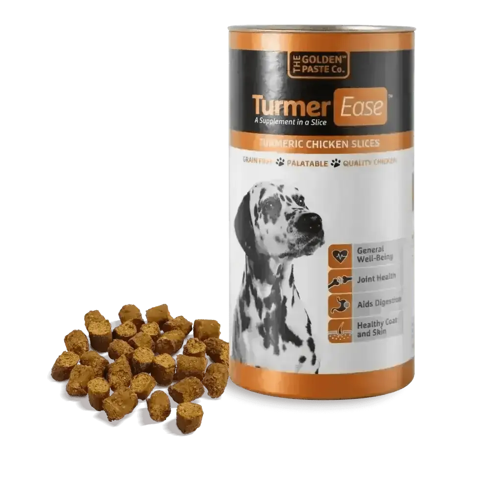 Golden paste dog treats with turmeric and chicken slices in a canister, grain free and healthy