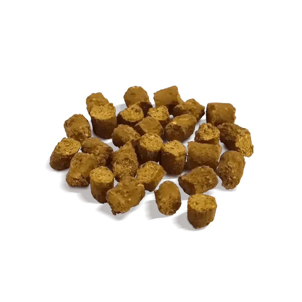 Caramel-colored grain free dog treats with textured surface from Golden Paste Co
