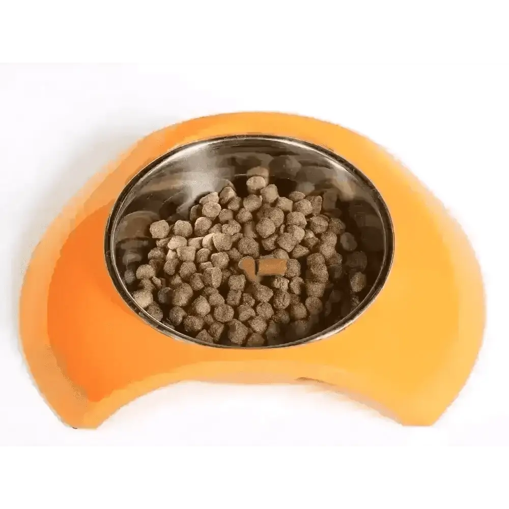 Orange pet food bowl with stainless steel insert for Golden Paste for Pets featuring turmeric and coconut oil