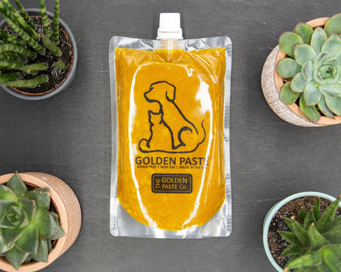 Golden Paste Turmeric Supplement For Dogs and Cats - Natural Pet Store.