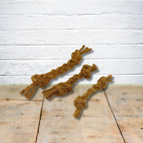 Earth Day 2023 Sustainability and Pet Ownership