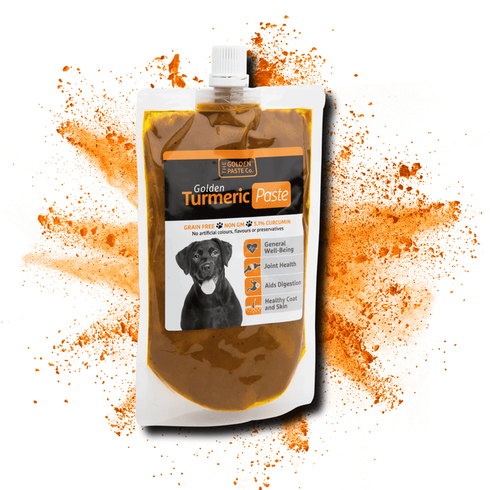 Golden Paste for Dogs - Natural joint supplement for dogs